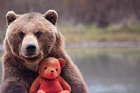PARTENARIAT AVEC LE MUSÉE DES SCIENCES NATURELLES