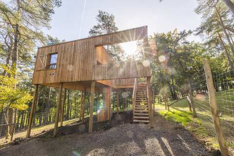 UNE NUIT AU COEUR DE LA FORÊT!