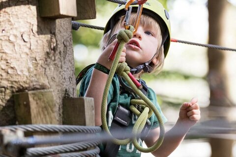 NOUVEAU PARCOURS & LIGNES DE VIE CONTINUES