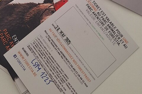 ENTREES FRAUDULEUSES