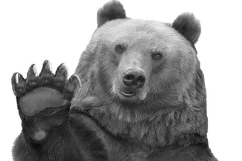 FOREST'BAR OUVERT LES MERCREDIS PM